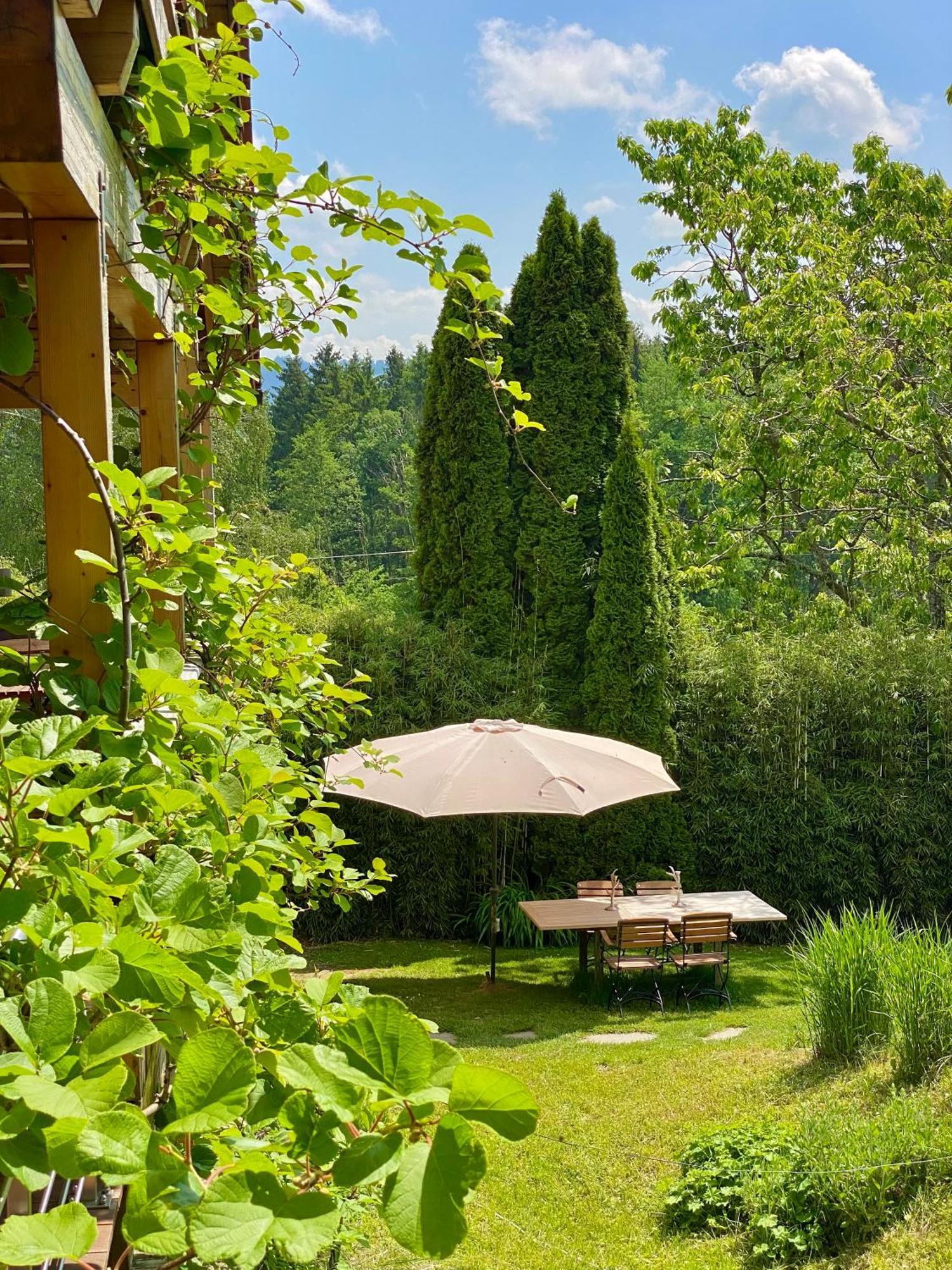 Ferienhaus Alpenpanorama Chalet Mollenberg Exterior foto